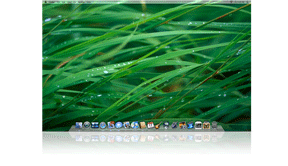 Leopard Desktop